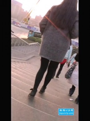 杰拉專區426