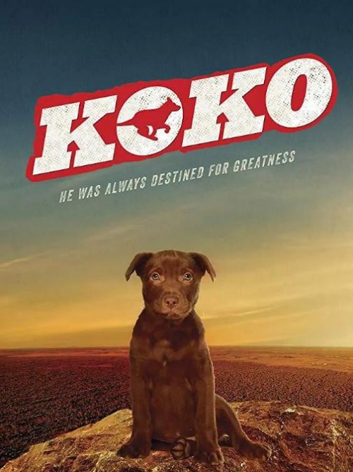 Koko:红犬历险记