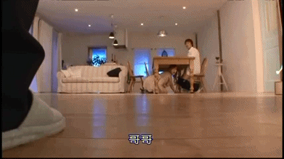 私人教师安城安娜 12281303f47203fc6f8bd295bb881686.gif